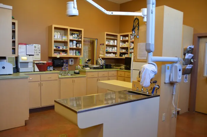 5 Points Animal Hospital Picture 7