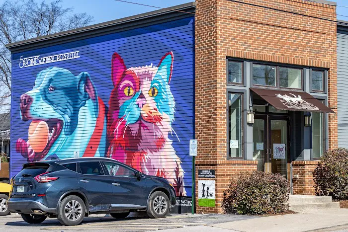5 Points Animal Hospital Picture 9