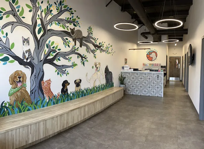 Berry Hill Animal Hospital Picture 2