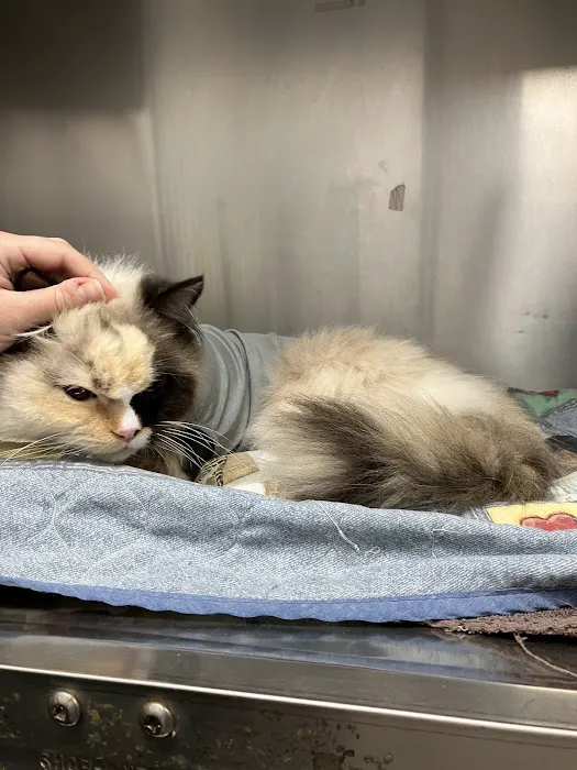 Berry Hill Animal Hospital Picture 1