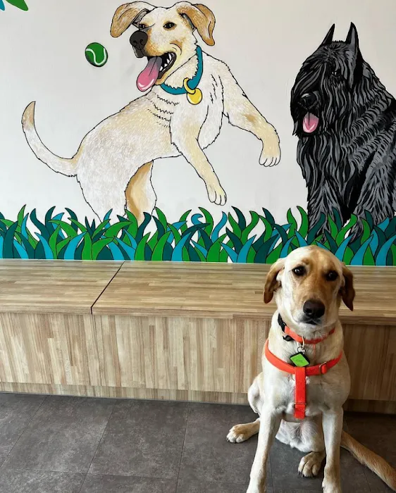 Berry Hill Animal Hospital Picture 5