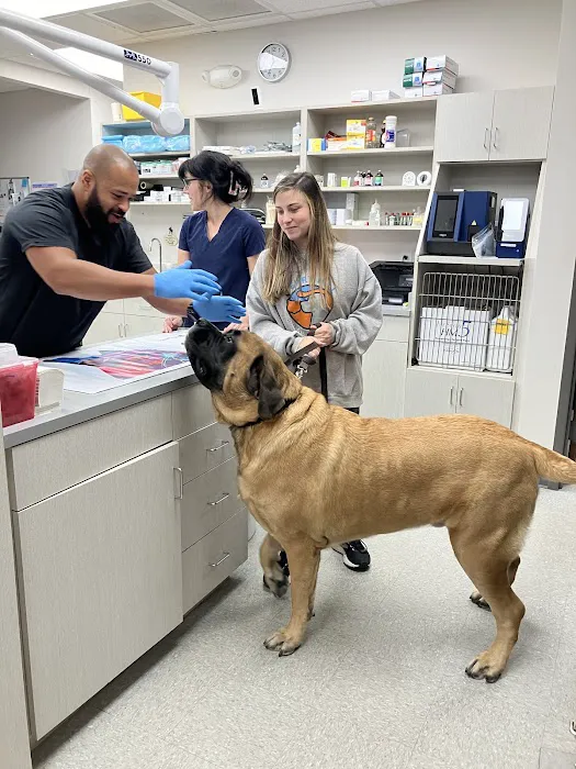 Berry Hill Animal Hospital Picture 9