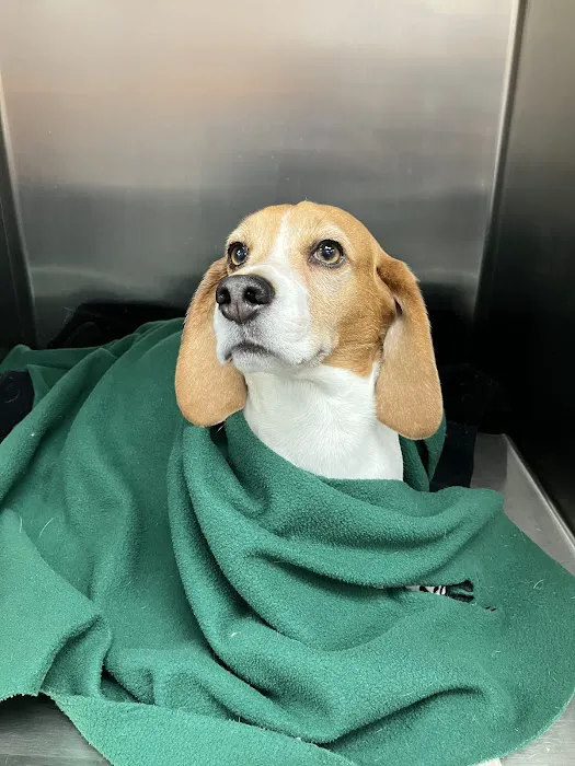 Berry Hill Animal Hospital Picture 7