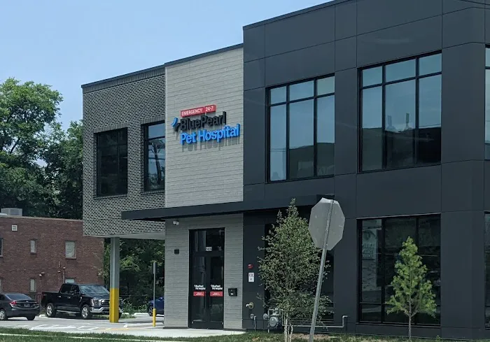 BluePearl Pet Hospital Picture 5