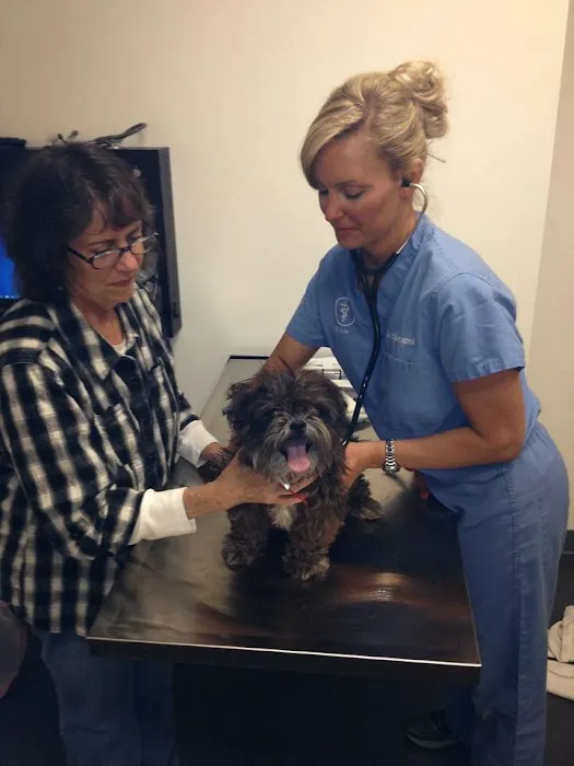Parker's Paws Animal Hospital Picture 3