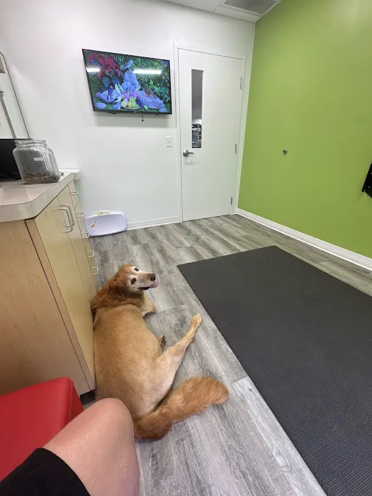 Parker's Paws Animal Hospital Picture 1