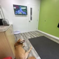 Parker's Paws Animal Hospital ico