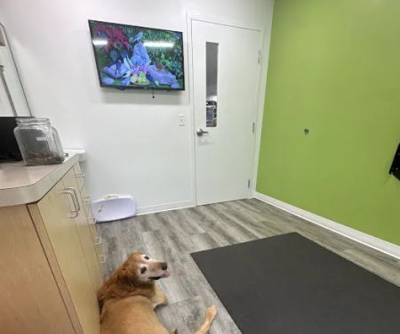 Parker's Paws Animal Hospital