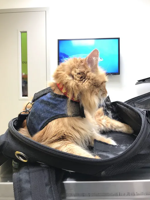 Parker's Paws Animal Hospital Picture 5