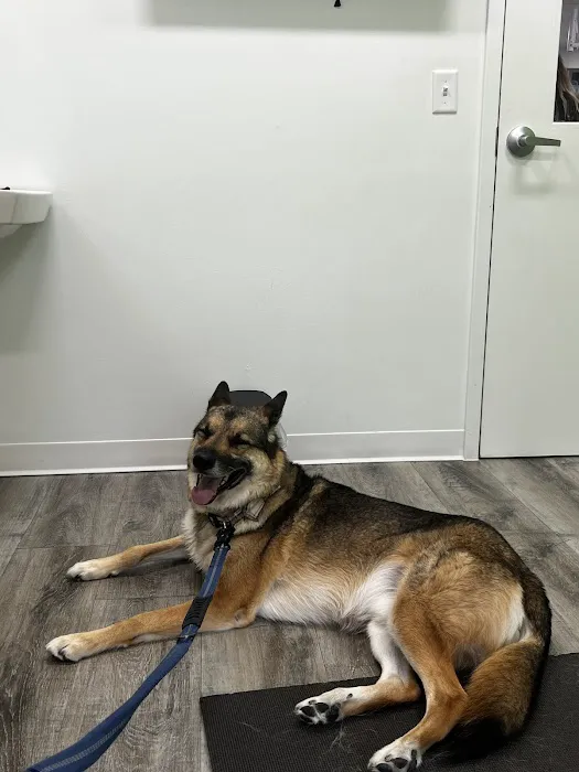 Parker's Paws Animal Hospital Picture 7