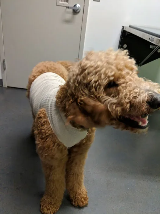 Parker's Paws Animal Hospital Picture 6