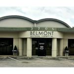Belmont Animal Hospital