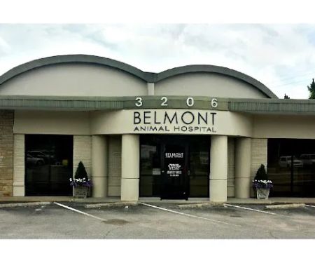 Belmont Animal Hospital