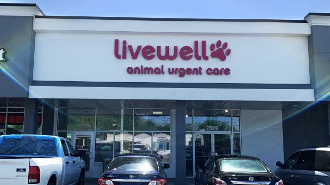 Livewell Animal Urgent Care of East Nashville Picture 2