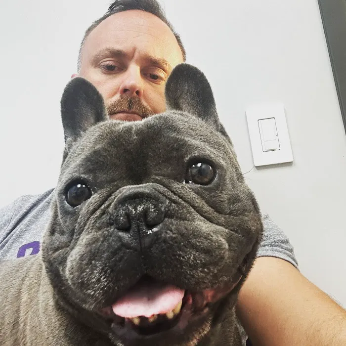 Livewell Animal Urgent Care of East Nashville Picture 8