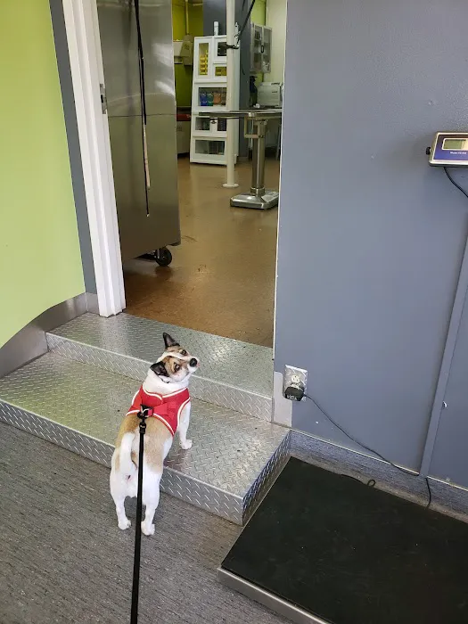Value Vet Affordable Pet Care Picture 10