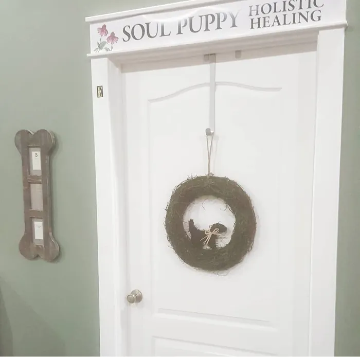 Soul Puppy Holistic Healing Picture 6
