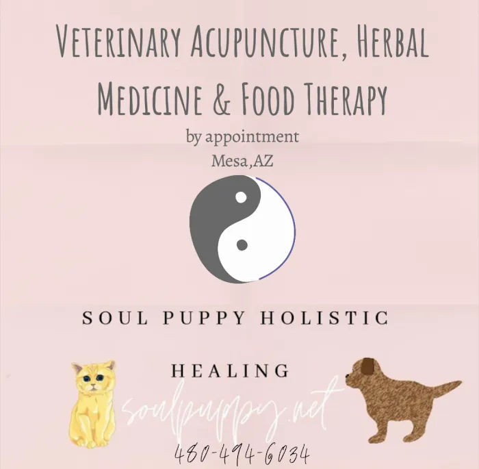 Soul Puppy Holistic Healing Picture 9