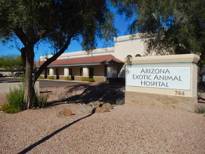 Arizona Exotic Animal Hospital (Mesa) Picture 3