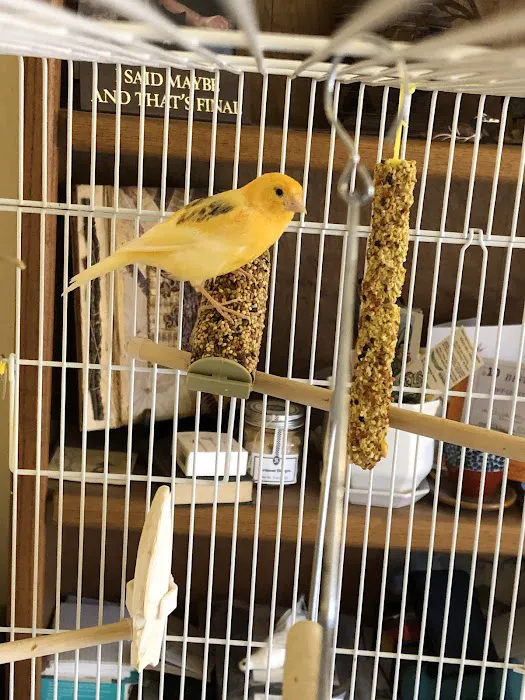Arizona Exotic Animal Hospital (Mesa) Picture 4
