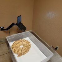 Arizona Exotic Animal Hospital: Johnson Jay DVM ico