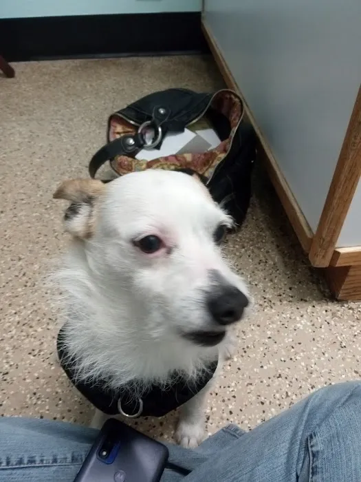 Paws Veterinary Clinic Picture 1