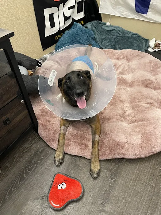 Paws Veterinary Clinic Picture 9