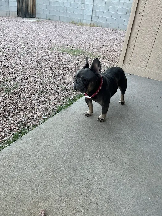 EVE Pet Hospital Picture 1