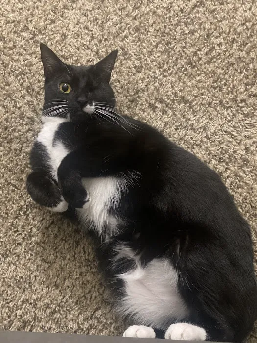 EVE Pet Hospital Picture 4