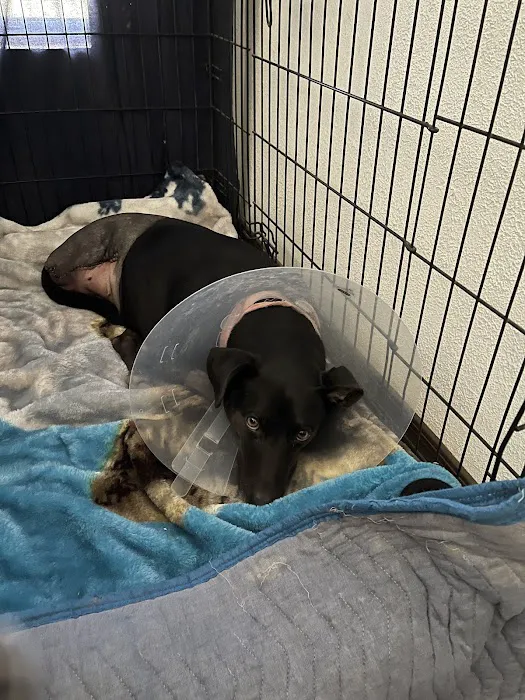 EVE Pet Hospital Picture 5