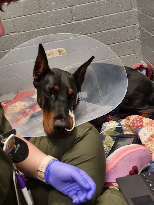 EVE Pet Hospital Picture 9