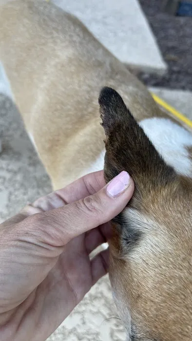 EVE Pet Hospital Picture 10