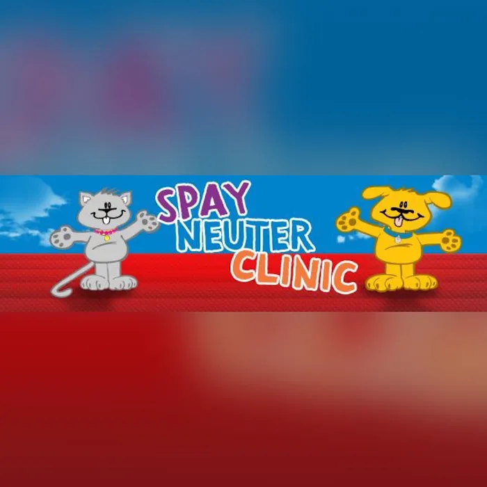 Spay Neuter Clinic: Mesa Picture 3