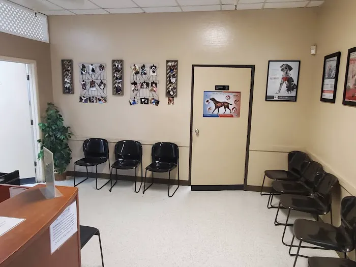 Spay Neuter Clinic: Mesa Picture 6