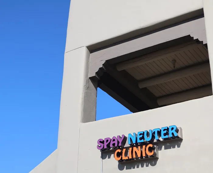 Spay Neuter Clinic: Mesa Picture 8