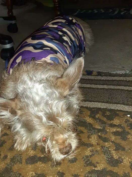 Banfield Pet Hospital Picture 5
