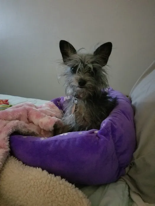 Banfield Pet Hospital Picture 9