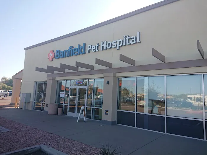 Banfield Pet Hospital Picture 2