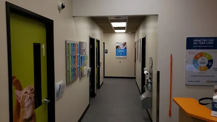 Banfield Pet Hospital Picture 5