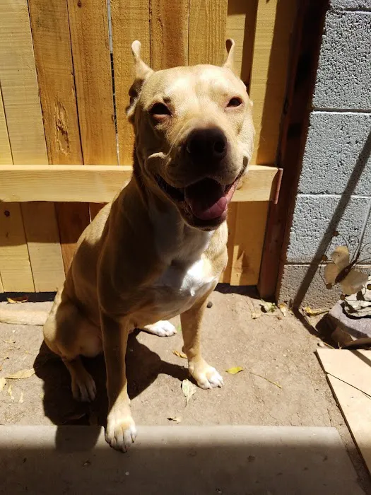 Banfield Pet Hospital Picture 7