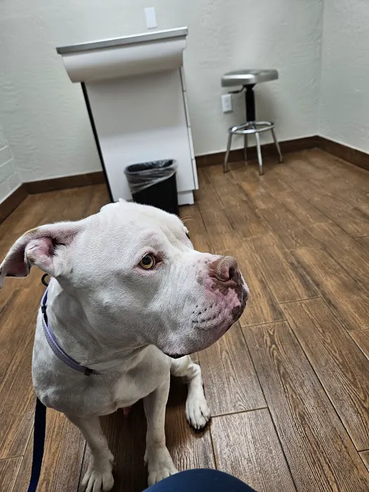 Homestead Animal Clinic Picture 1