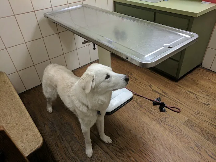 Sunrise Veterinary Clinic Picture 3