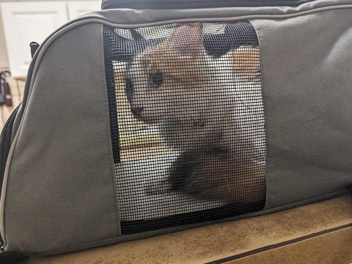 Sunrise Veterinary Clinic Picture 1