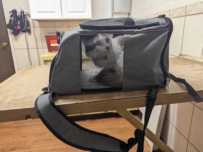 Sunrise Veterinary Clinic Picture 4