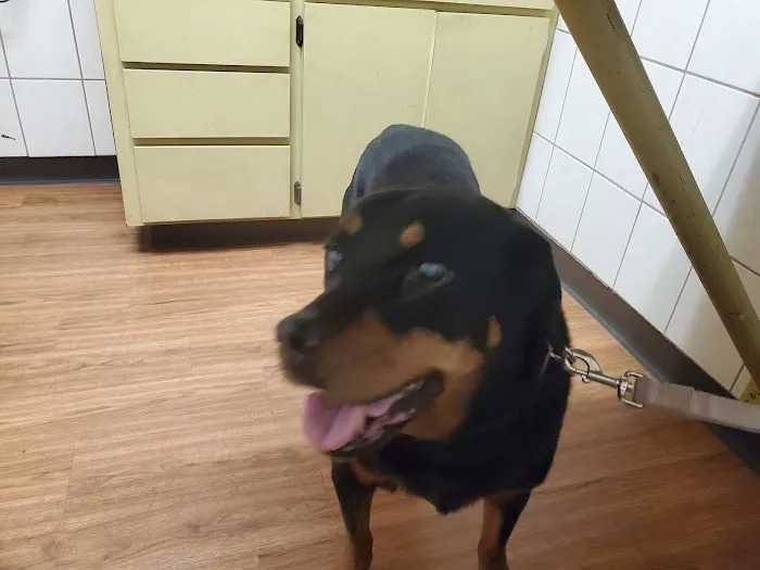 Sunrise Veterinary Clinic Picture 9
