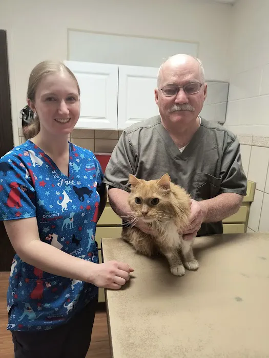 Sunrise Veterinary Clinic Picture 7