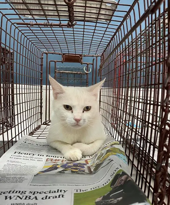 Heaven Can Wait Animal Society Wellness Clinic Picture 1