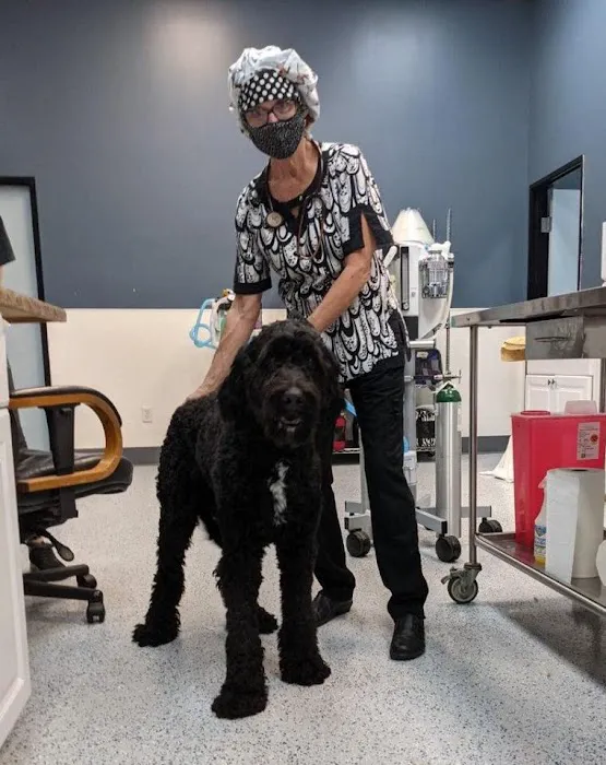Heaven Can Wait Animal Society Wellness Clinic Picture 4