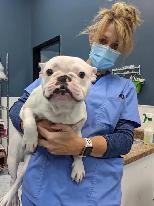 Heaven Can Wait Animal Society Wellness Clinic Picture 3