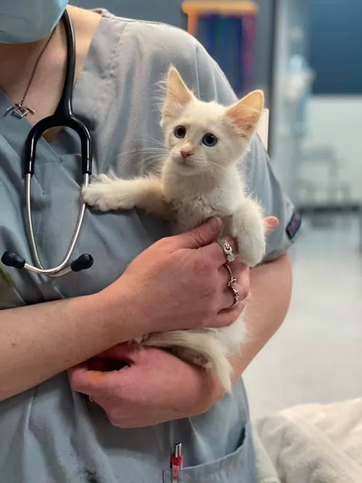 Heaven Can Wait Animal Society Wellness Clinic Picture 2